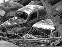 Autofriedhof - 126